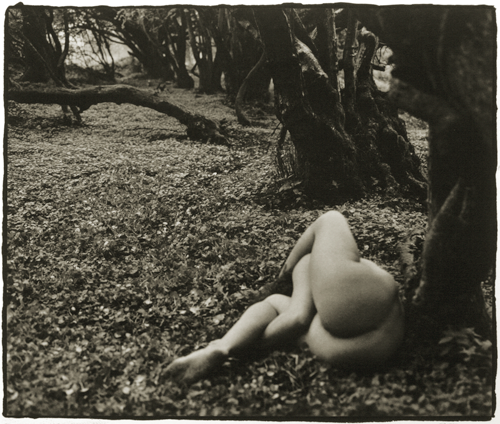 © Paul Caffell - from a series of Landscape Nudes - 31-Studio Platinum Print