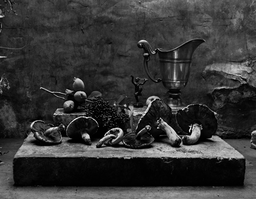 © Don McCullin - Still Life in my Garden Shed - 31-Studio Platinum Print