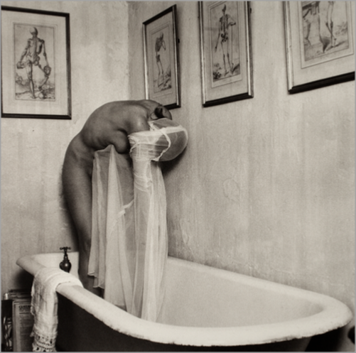© Melissa Moore - Plasmic - 31-Studio Platinum Print