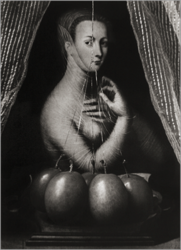 © Paul Kilsby - Diane de Poitiers - 31-Studio Platinum Print