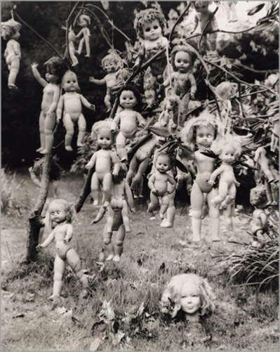 © Linda McCartney/Paul McCartney - Dolly Tree - 31-Studio Platinum Print